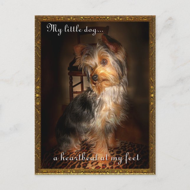 Heartbeat at my feet postcard (Front)