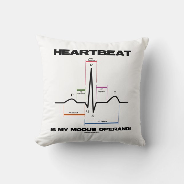 Heartbeat Is My Modus Operandi Sinus Rhythm Cushion (Front)