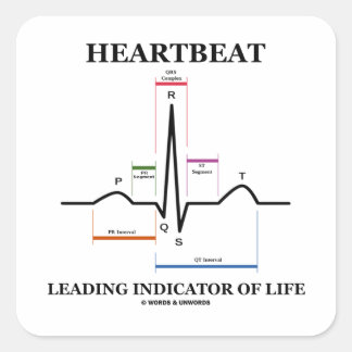 Heartbeat Leading Indicator Of Life (ECG/EKG) Square Sticker