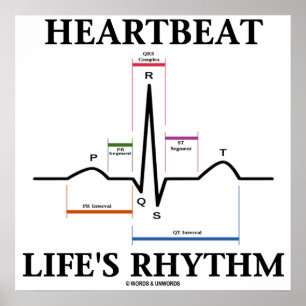 Heartbeat Life's Rhythm (ECG / EKG Heartbeat) Poster