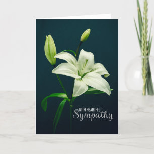 Heartfelt Sympathy For Anyone Beautiful White Lily Holiday Card