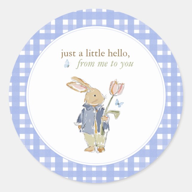 Hearthlight Notes Spring Soft Meadow Gingham Classic Round Sticker (Front)
