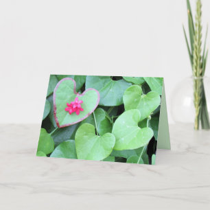 Hearts and Nature Mother's Day Card (Calico Plant)
