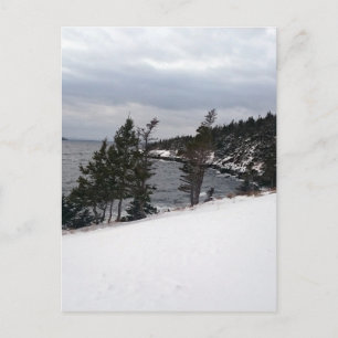 Heart's Delight Postcard