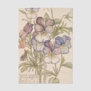 Heart's-Ease Walberswick by Charles Mackintosh Tissue Paper