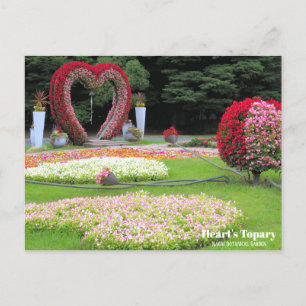 Heart's Topary :Postcard Postcard