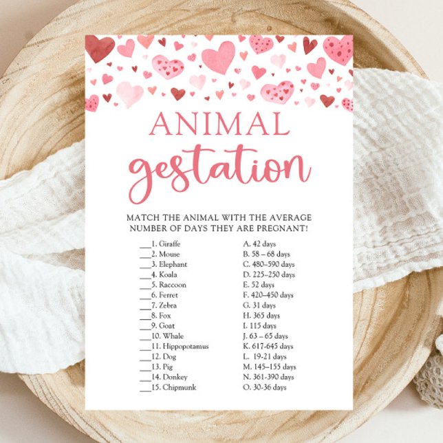 Hearts Valentine Baby Shower Animal Gestation Game Invitation (Watercolor Cute Pink Red Hearts Valentine A Little Sweetheart Girl Animal Gestation Baby Shower Game)