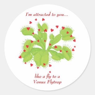 Hearts & Venus Flytrap Classic Round Sticker