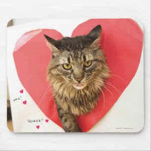 Heartthrob Cat Mouse Mat