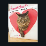 Heartthrob Cat Postcard<br><div class="desc">Now your cat can follow in the venerable pawprints of the Internet's brightest feline stars. Customise this design by uploading your cat's photo and instantly turn your cat into an Internet Celebrity. (Designs inspired by the How to Make Your Cat an Internet Celebrity book.)</div>