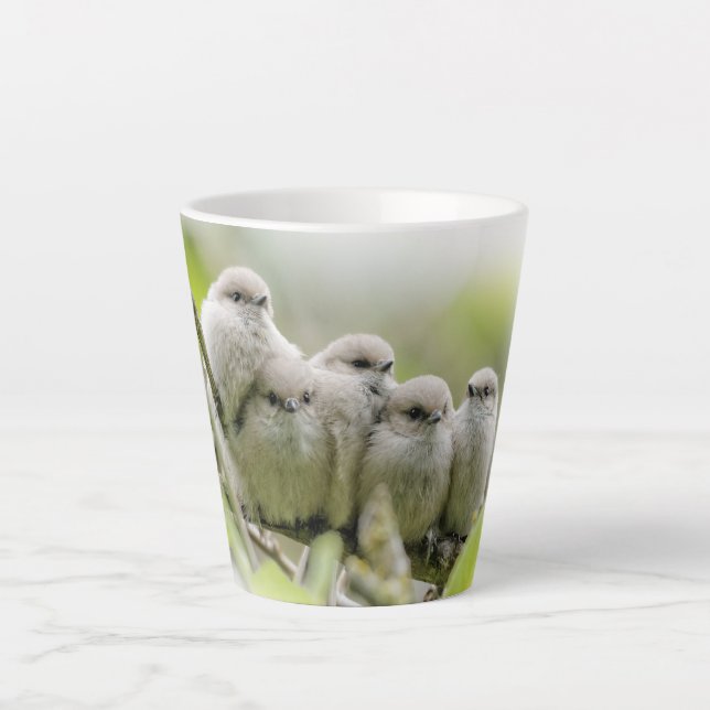 Heartwarming Cute Bushtits Songbirds Family Photo Latte Mug (Front)
