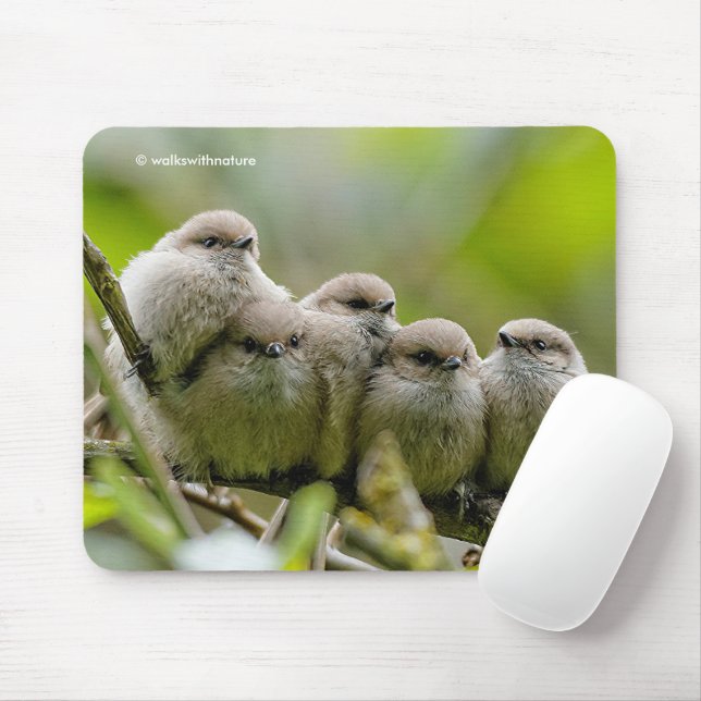 Heartwarming Cute Bushtits Songbirds Family Photo Mouse Mat (With Mouse)