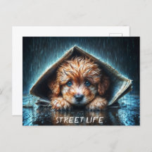 Heartwarming wet canine in stormy weather