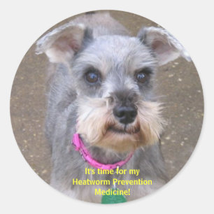 Heartworm Medicine Reminder Stickers