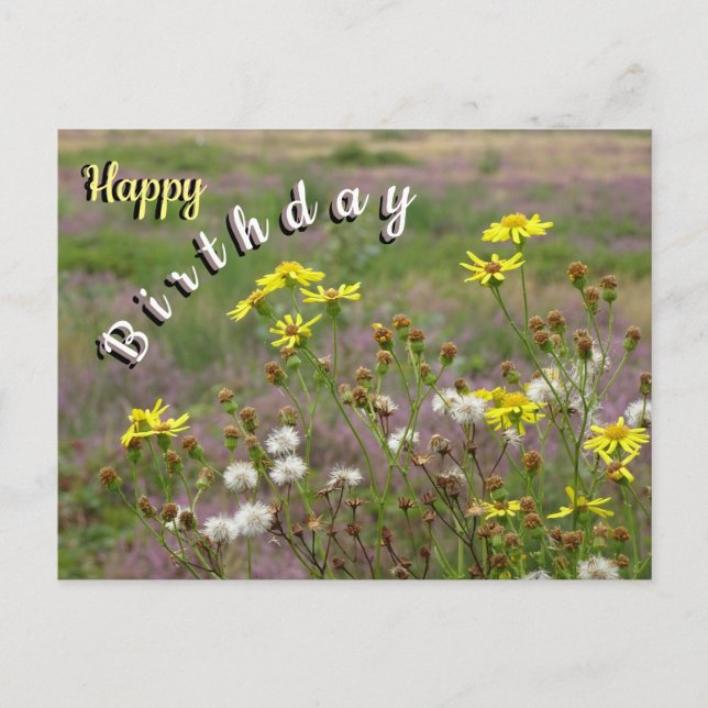 Heath and White Yellow Flowers Birthday Postcard (Front)
