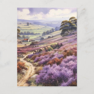 Heather Moorland Field In A Valley Landscape Postcard