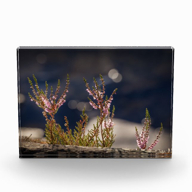 Heather Nature Photo Block (Front)