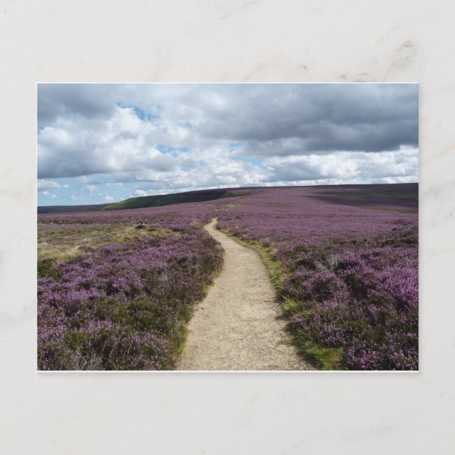 Heather Postcard (Front)