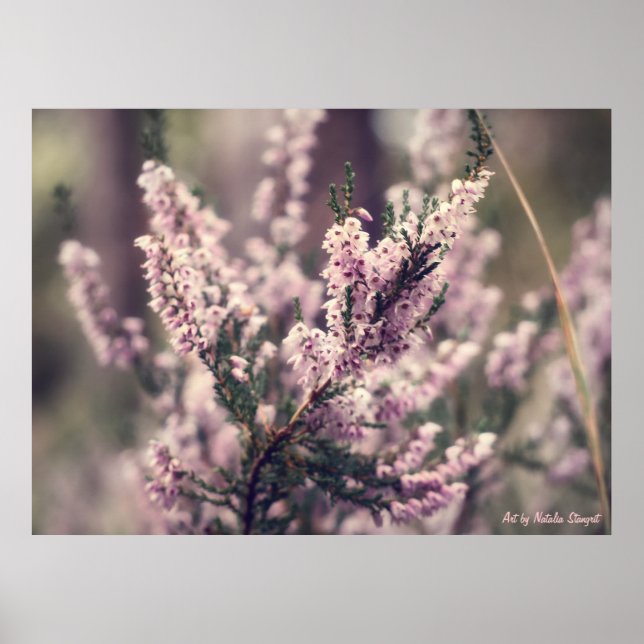Heather Poster (Front)