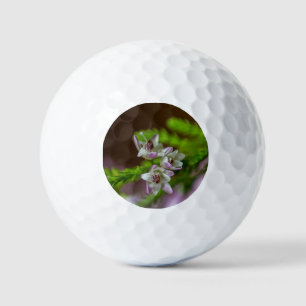 Heather Spring flower evergreen bloom purple white Golf Balls