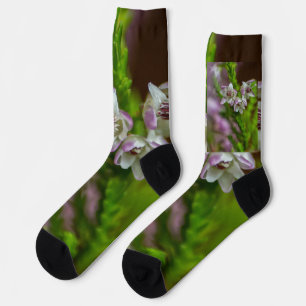 Heather Spring flower evergreen bloom purple white Socks