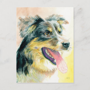 Heather the Border Collie Postcard