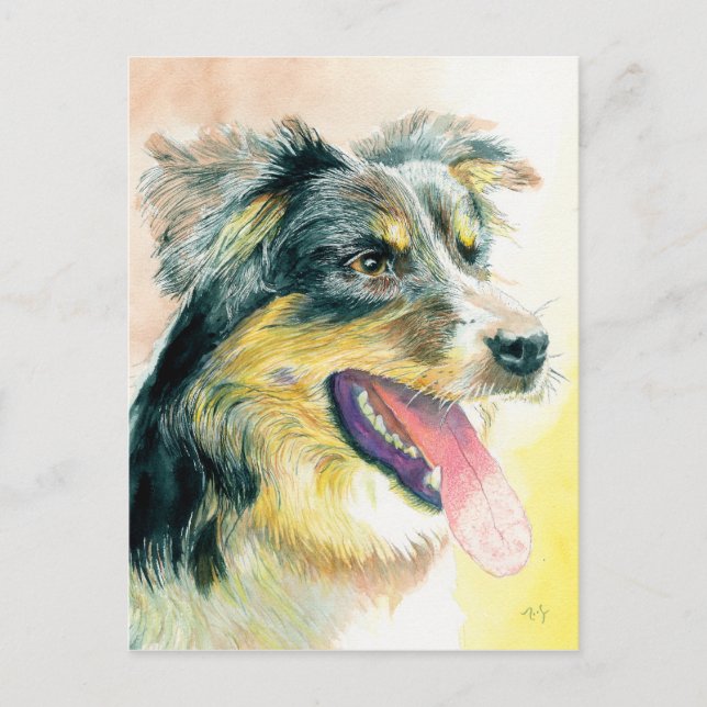 Heather the Border Collie Postcard (Front)