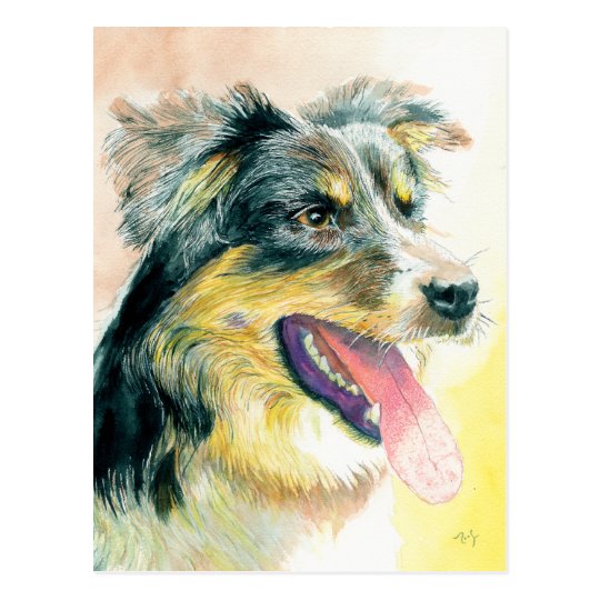 Heather the Border Collie Postcard