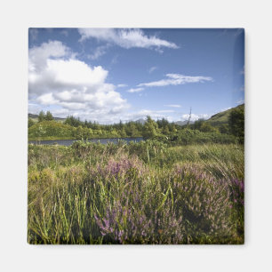 Heathland Magnet