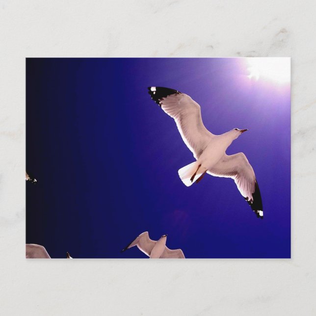 heaven opens postcard (Front)