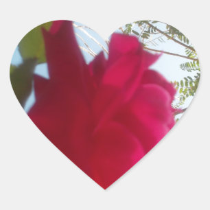 Heavenly Bloom: A Rose Against the Sky Heart Sticker