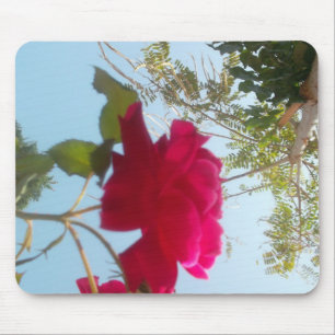 Heavenly Bloom: A Rose Against the Sky Mouse Mat