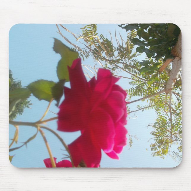 Heavenly Bloom: A Rose Against the Sky Mouse Mat (Front)
