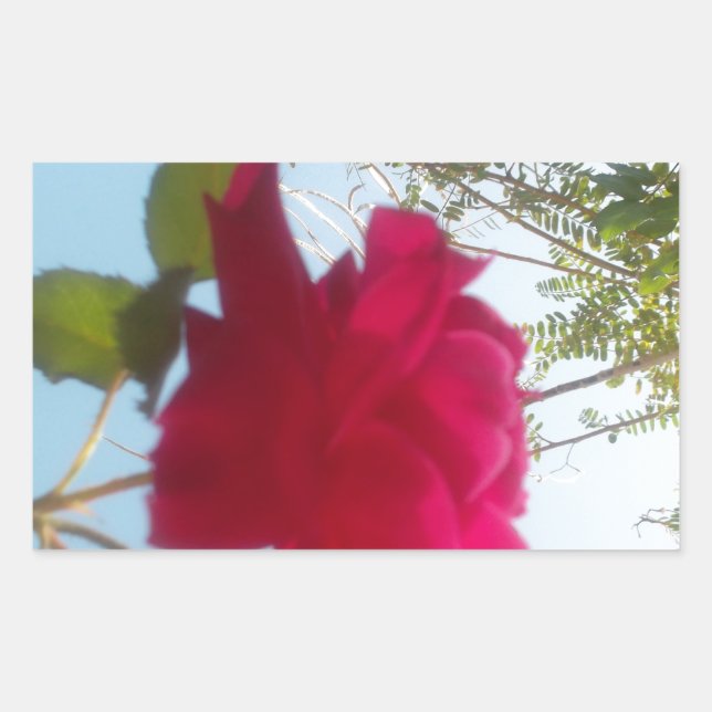 Heavenly Bloom: A Rose Against the Sky Rectangular Sticker (Front)