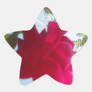 Heavenly Bloom: A Rose Against the Sky Star Sticker