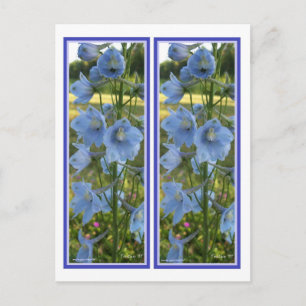 HEAVENLY BLUE BOOKMARKS POSTCARD