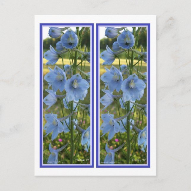 HEAVENLY BLUE BOOKMARKS POSTCARD (Front)
