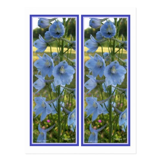 HEAVENLY BLUE BOOKMARKS POSTCARD
