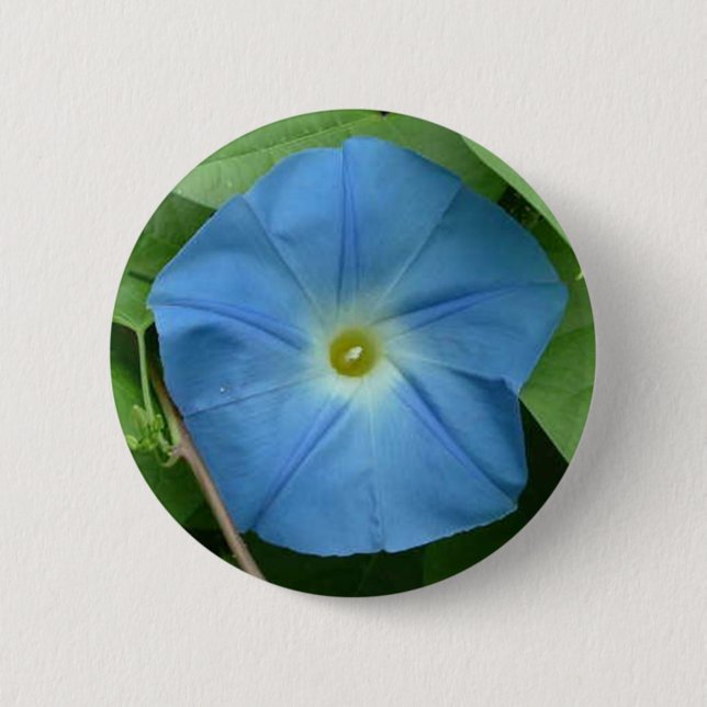 Heavenly Blue Morning Glory 6 Cm Round Badge (Front)