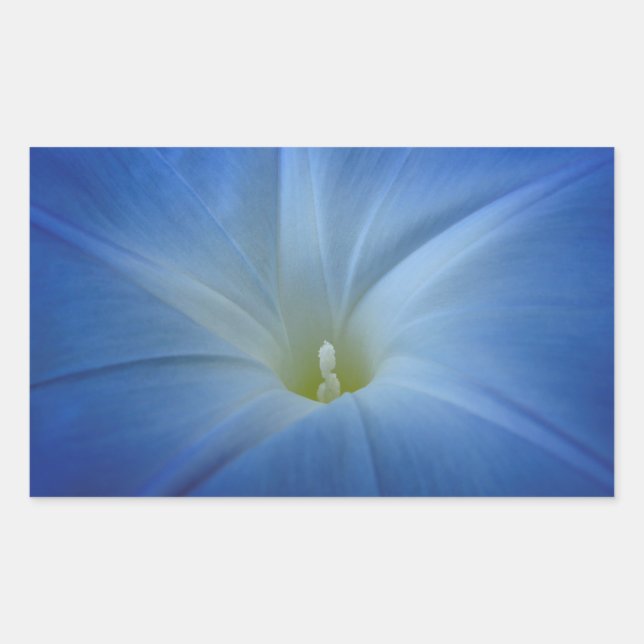 Heavenly Blue Morning Glory Close-Up Photo Rectangular Sticker (Front)