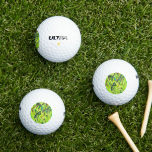 Heavenly Dragonflies On a Starry Sky Golf Balls