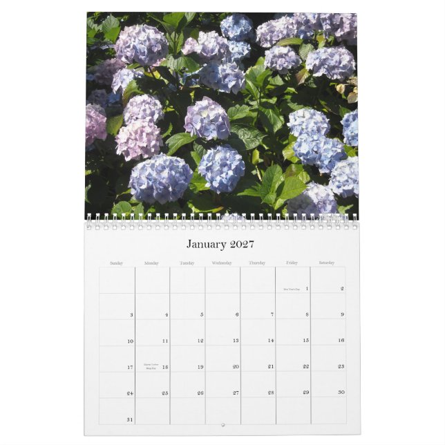 Heavenly Hydrangeas 2013 Calendar (Jan 2027)
