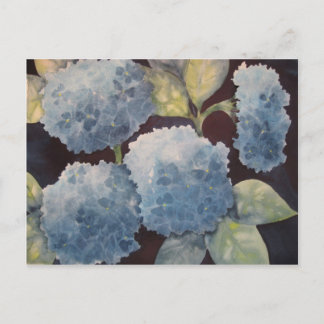 Heavenly Hydrangeas Postcard