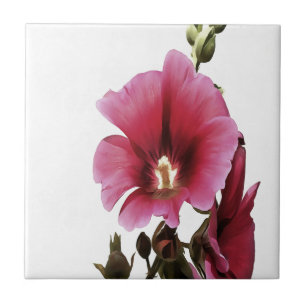 Heavenly Pink Hollyhock Malva Flower Floral Tile