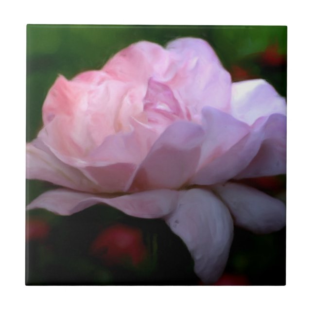 Heavenly Pink Rose Floral Art Tile (Front)