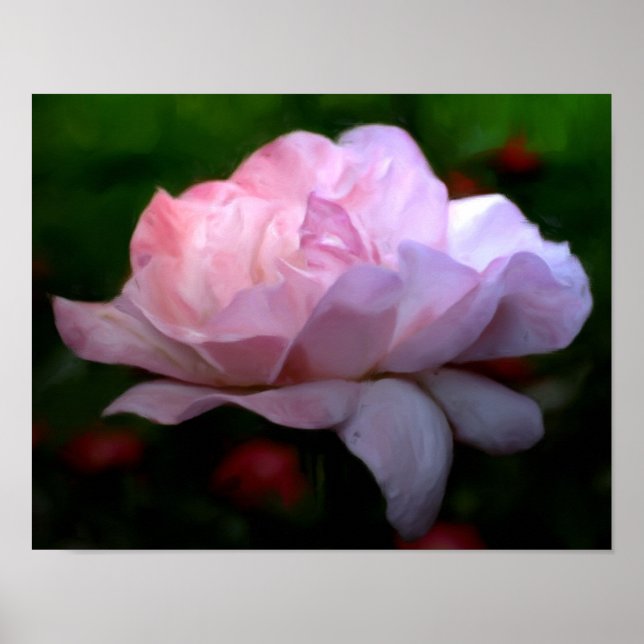Heavenly Pink Rose Flower Art Photo Painting Poster (Front)