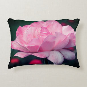 Heavenly Pink Rose Flower   Decorative Cushion