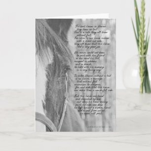 HEAVENS BEST gelding Greeting Card