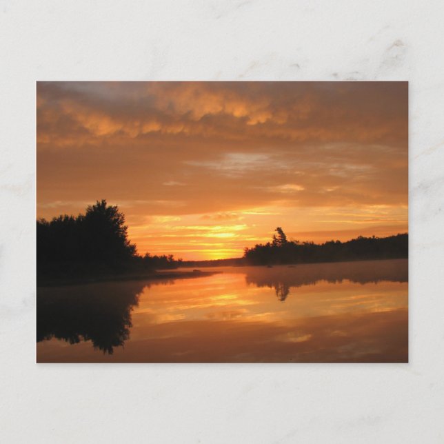 heavens gates postcard (Front)