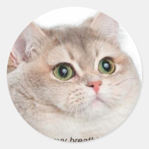 Heavy breathing meme classic round sticker